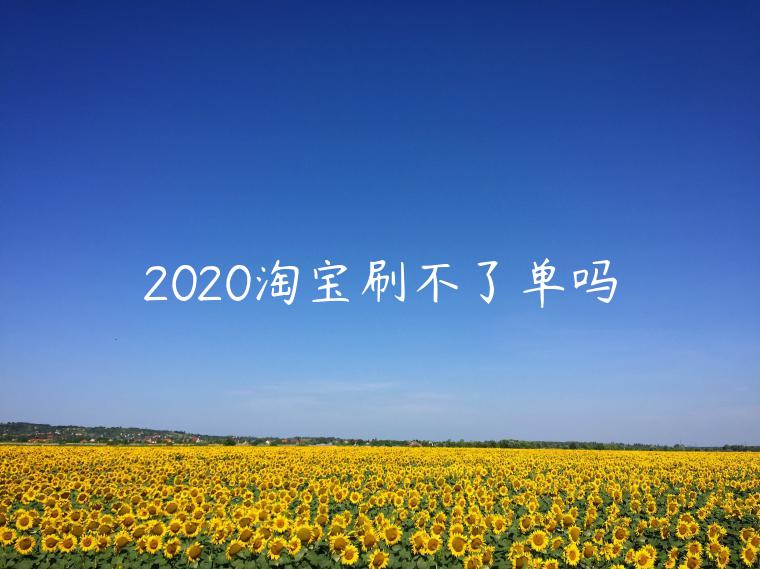 2020淘寶刷不了單嗎